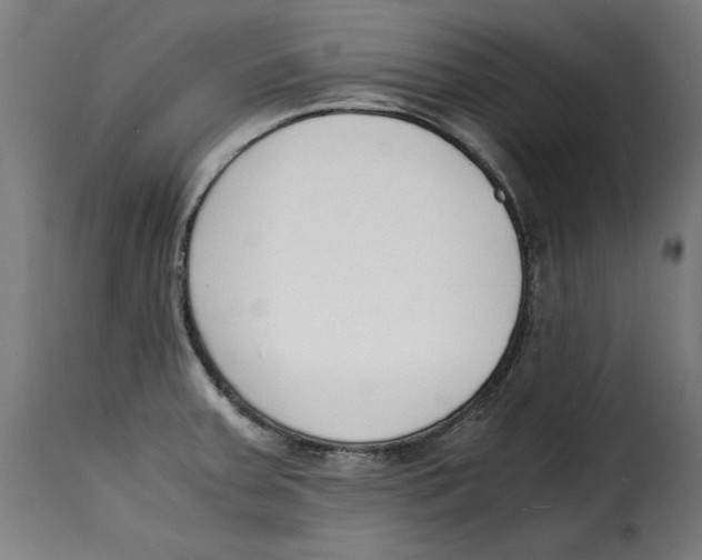 X0000115001379200911231155