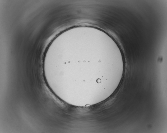 X0000115001384200911231155