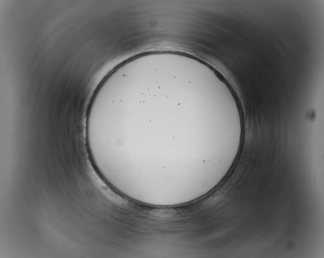 X0000115001388200911231154