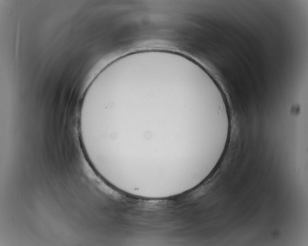 X0000115001390200911231154