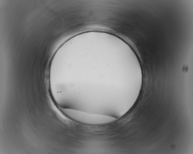 X0000115001391200911231154