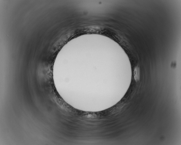 X0000115001395200911231154