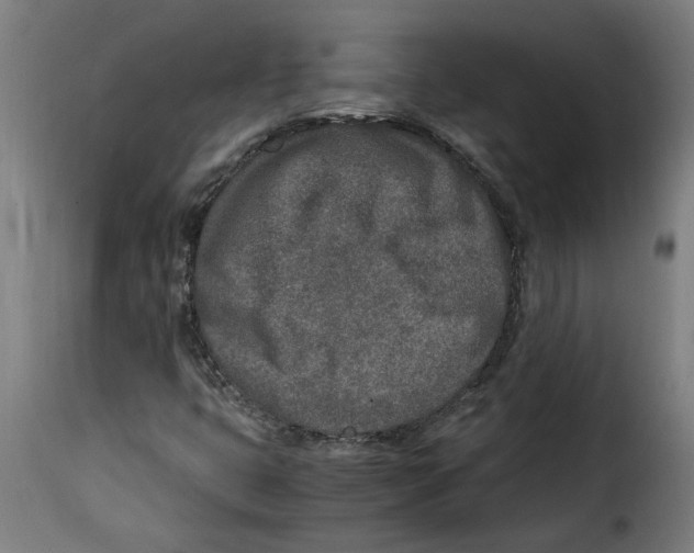 X0000115001399200911231154