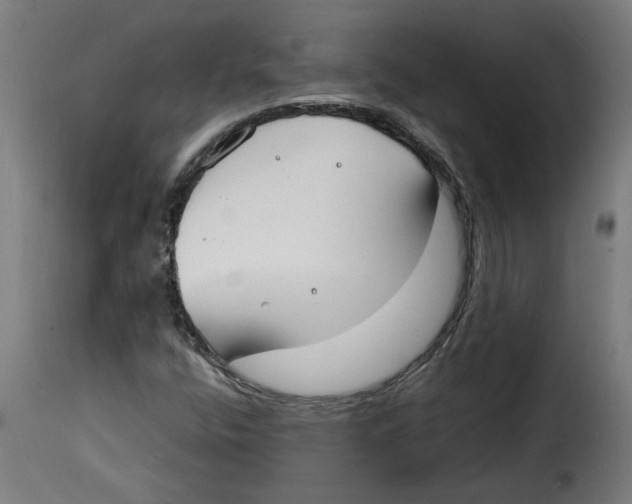 X0000115001400200911231154