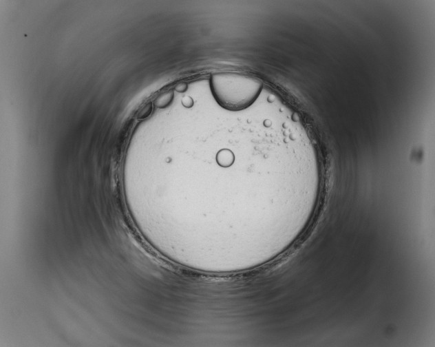 X0000115001402200911231154