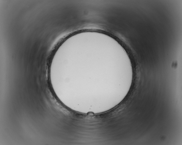 X0000115001408200911231154