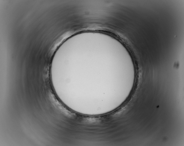 X0000115001409200911231154