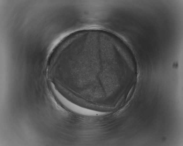 X0000115001414200911231154