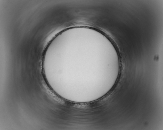 X0000115001415200911231154