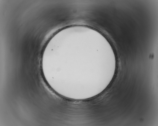 X0000115001416200911231154