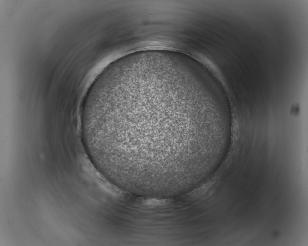 X0000115001419200911231154