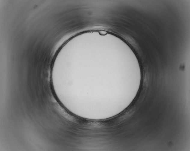 X0000115001420200911231154