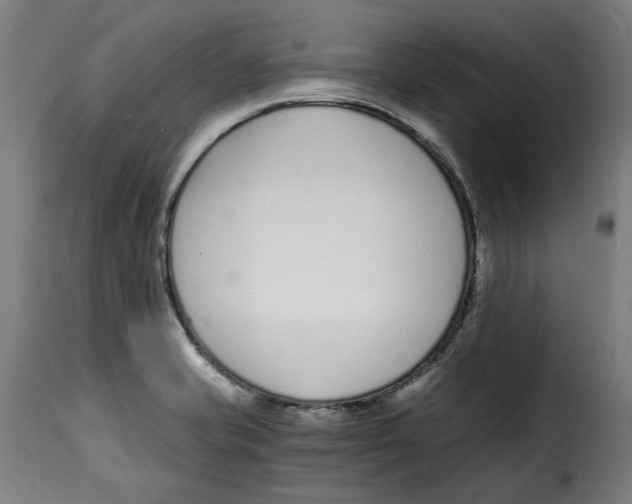 X0000115001421200911231154