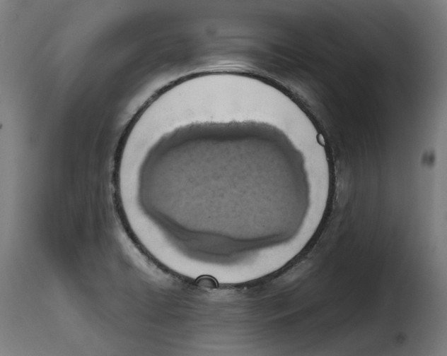 X0000115001422200911231154