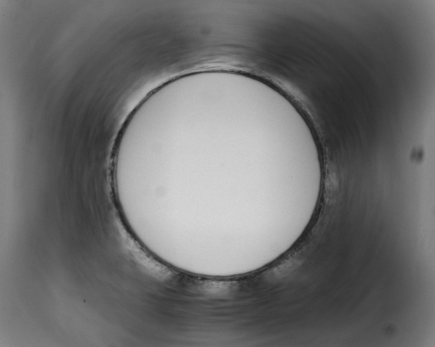 X0000115001423200911231154