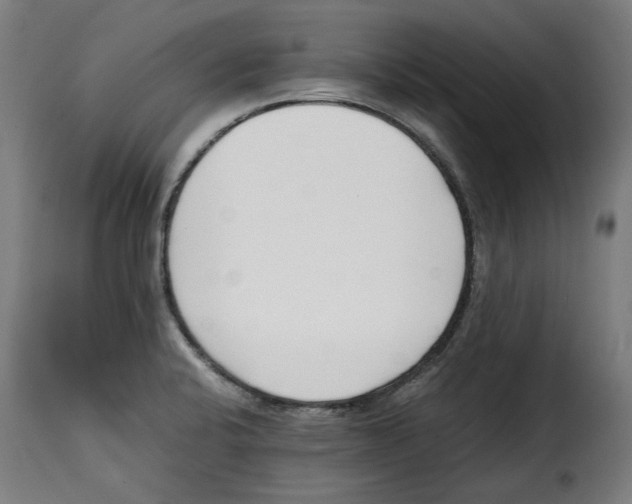 X0000115001424200911231154