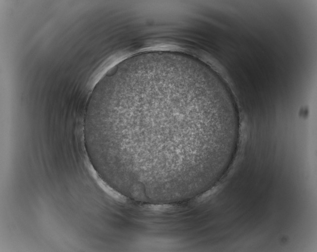 X0000115001425200911231154