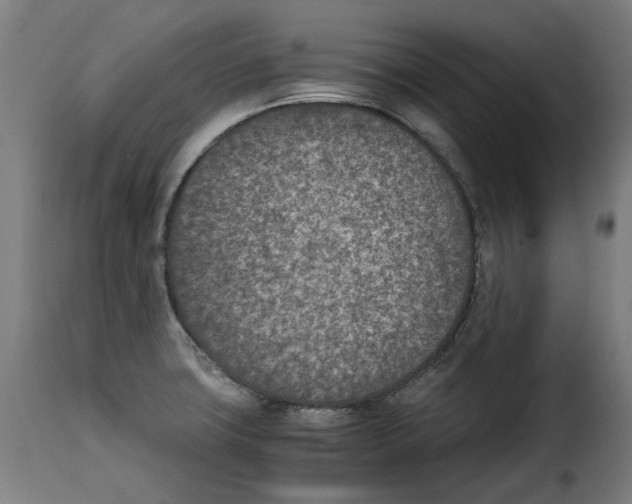 X0000115001427200911231154