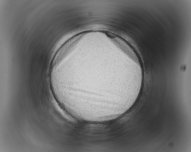 X0000115001429200911231154