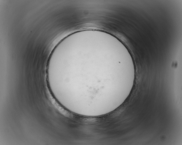 X0000115001431200911231154