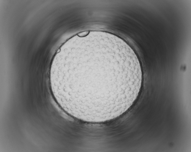 X0000115001432200911231154