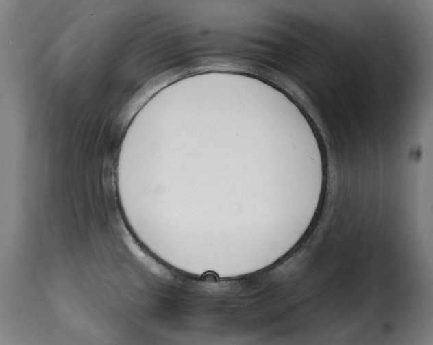 X0000115001433200911231154