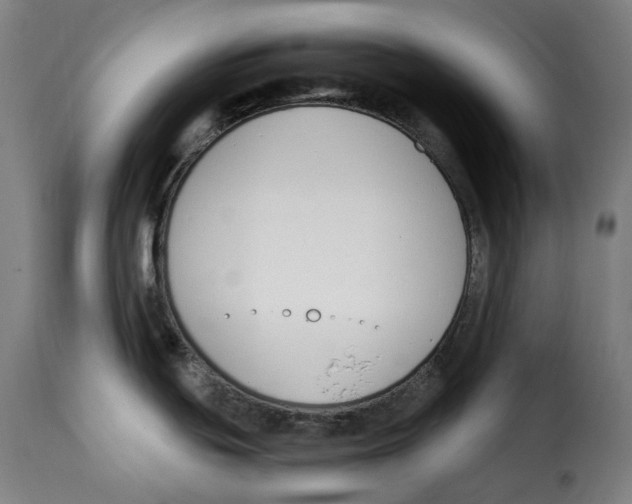 X0000115001439200911231154