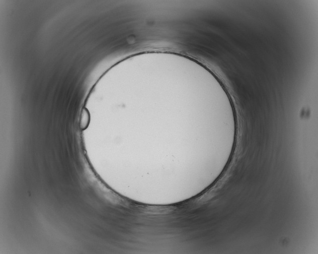 X0000115001440200911231154