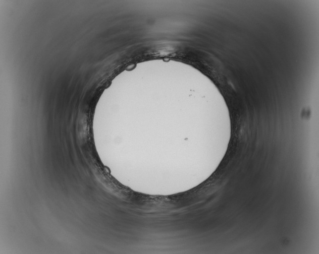 X0000115001442200911231154