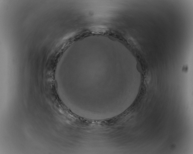 X0000115001445200911231153