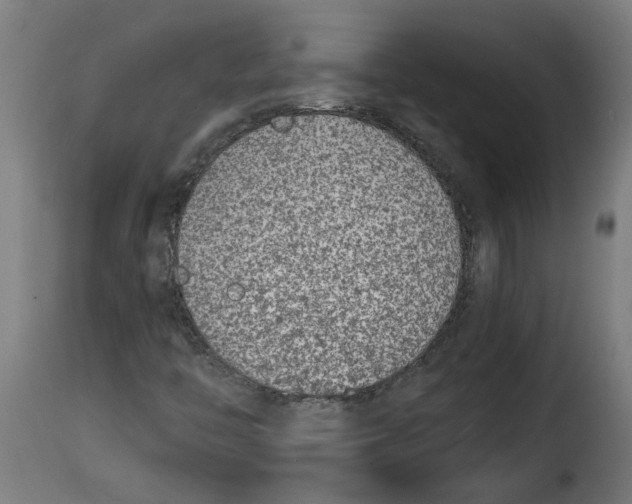 X0000115001446200911231153