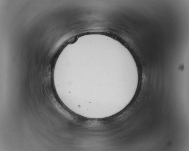 X0000115001450200911231153