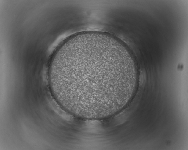 X0000115001454200911231153