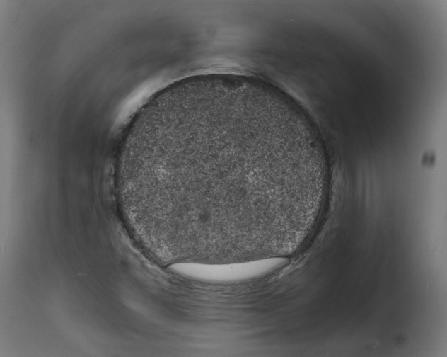 X0000115001455200911231153