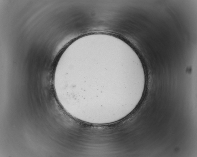 X0000115001458200911231153