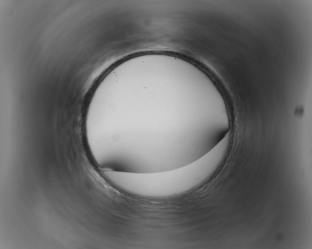 X0000115001460200911231153