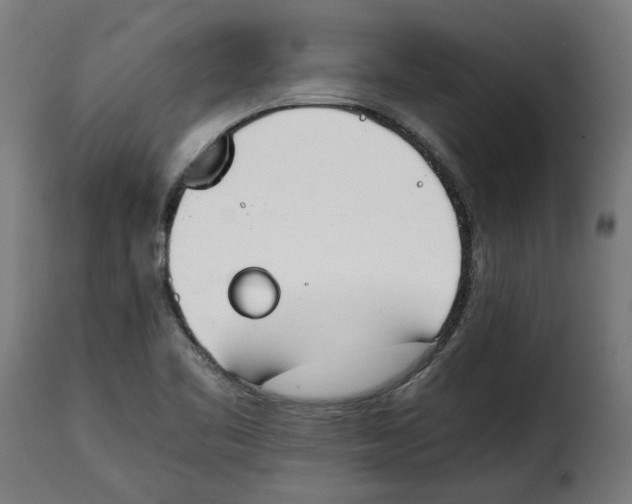 X0000115001461200911231153