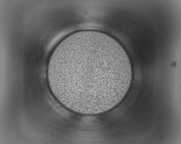 X0000115001462200911231153