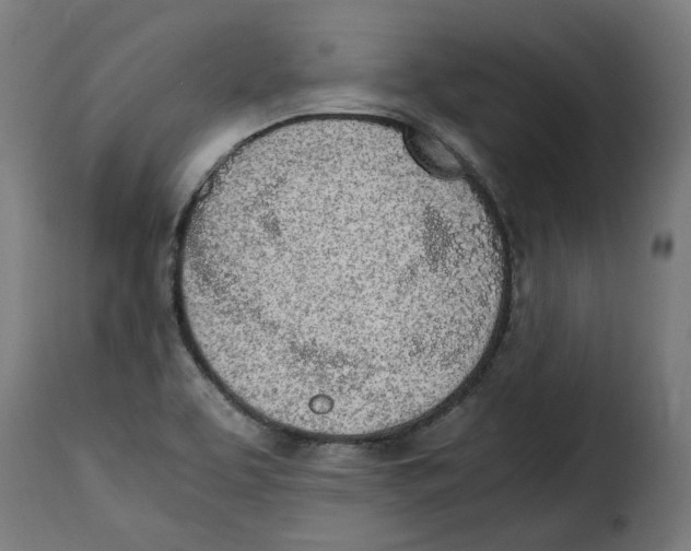 X0000115001463200911231153