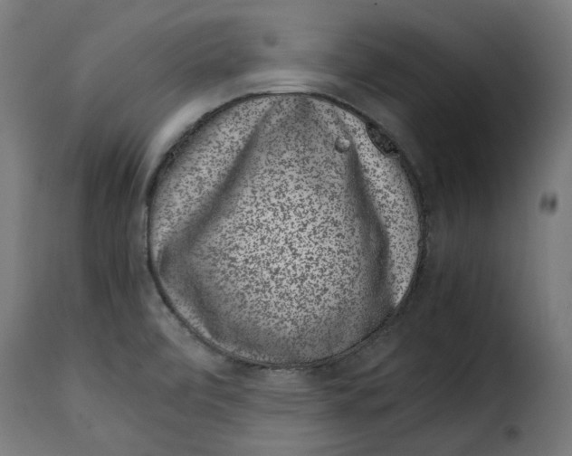 X0000115001472200911231153