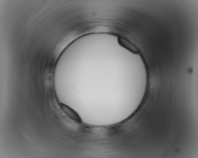 X0000115001473200911231153