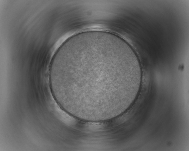 X0000115001474200911231153