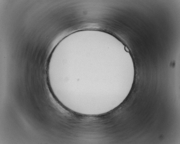 X0000115001475200911231153