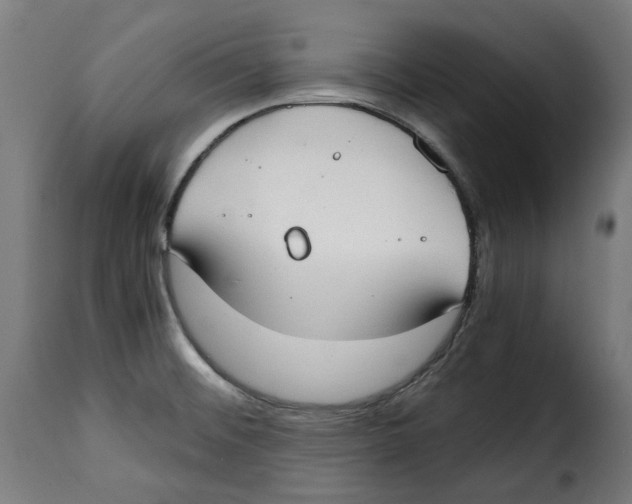 X0000115001476200911231153