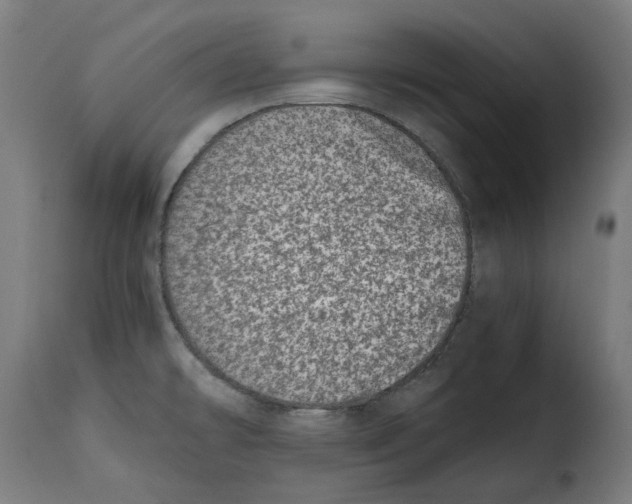 X0000115001478200911231153