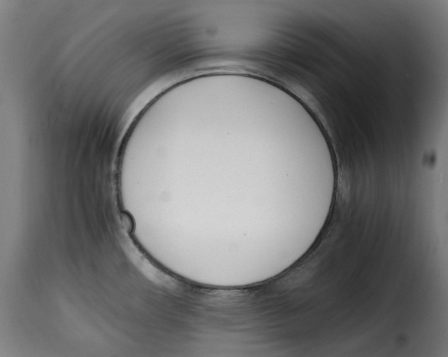 X0000115001482200911231153