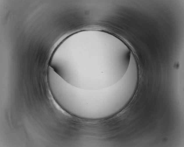 X0000115001484200911231153