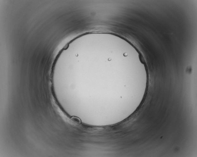 X0000115001485200911231153