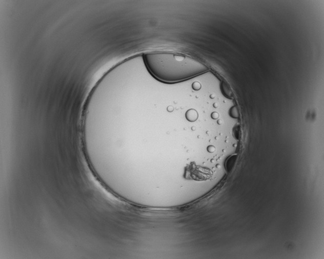 X0000115001487200911231153