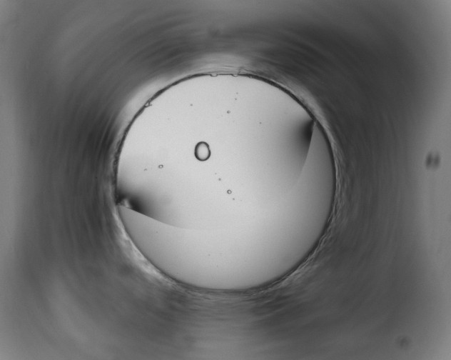 X0000115001488200911231153